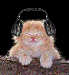 le chat